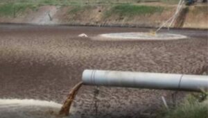 Rugi Triliunan Akibat Limbah Bubur Kayu, Kelompok Peternak Ikan Mas & Nila Tuntut Ganti Rugi Ke PT.Toba Pulp Lestari Fi Kab.Toba