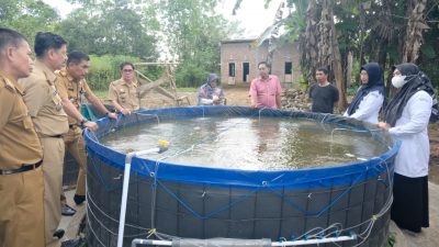 Budidaya Ikan Nila Sistem Bioflok