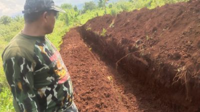 Pemkab Lutim Terus Intens Tangani Berjangkitnya Virus ASF, drh. Gusti Ngurah : Tidak Menular Ke Manusia