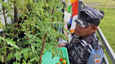 Babinpotmar Lanal Simeulue Laksanakan Pembinaan Kepada Warga Tentang Manfaat Bercocok Tanam di Lahan Sempit